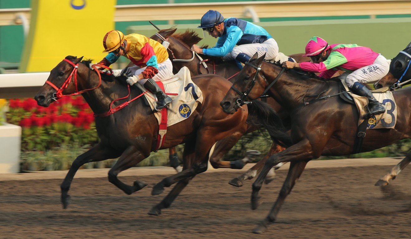 Sunny Boy (blue silks) runs into third at Sha Tin on September 8.