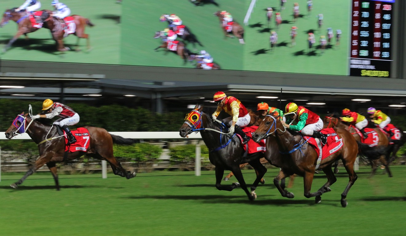 Horses thunder down the straight at Happy Valley.