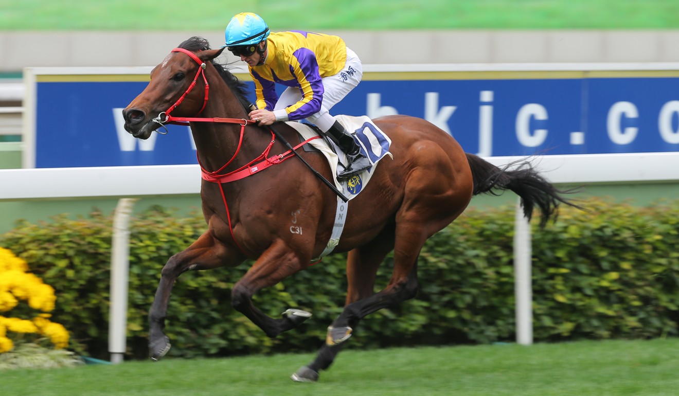 Joao Moreira hopes Prince Of Gems can return to the winner’s list this weekend.