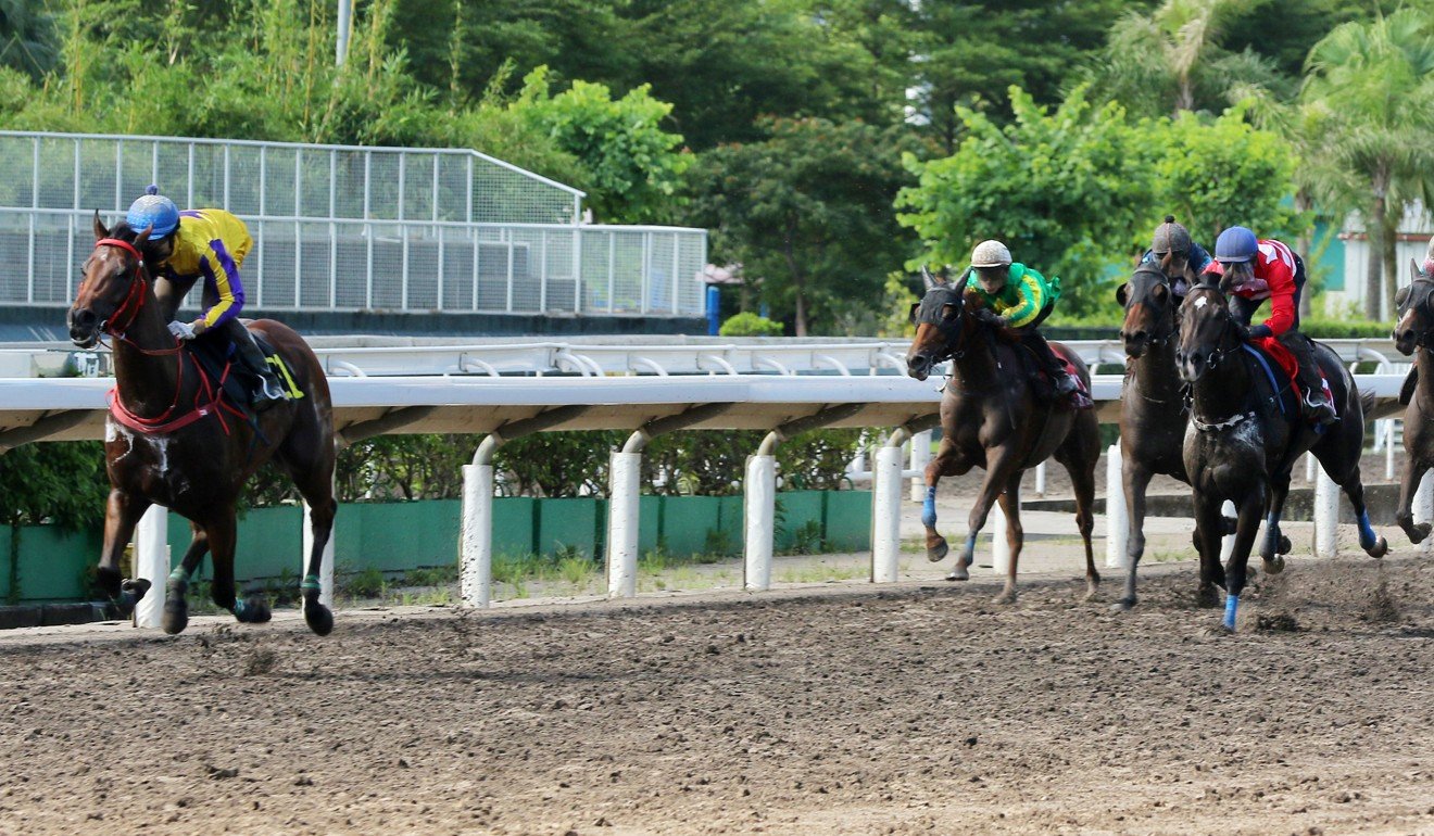Prince Of Gems surges to victory in a trial on September 6.