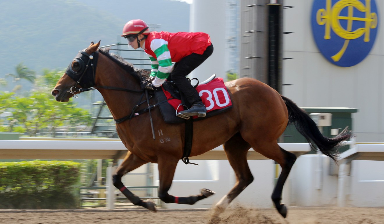 Lyle Hewitson trials on the Sha Tin all-weather track on Tuesday morning.