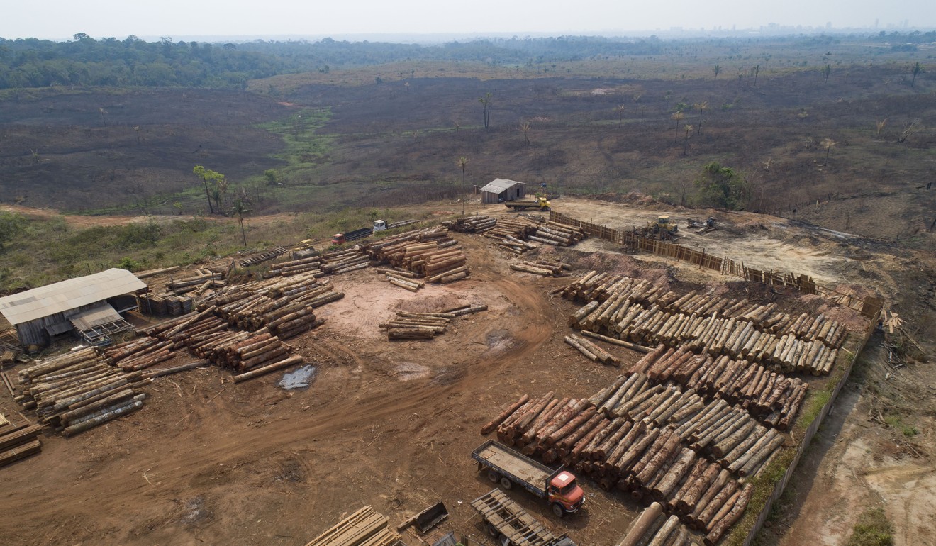 Logs lay at a timber mill surrounded by recently charred and deforested fields near Porto Velho. Photo: AP