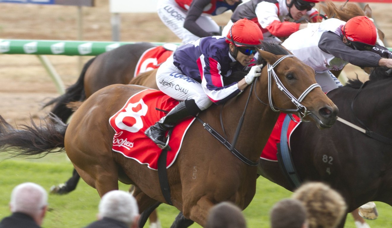 Jerry Chau lands his first winner aboard Serious Spender at Balaklava in May.