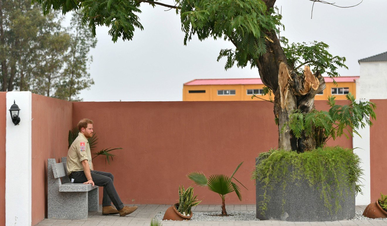 Prince Harry sits beneath the Diana Tree in Huambo, Angola, on Friday. Photo: Reuters