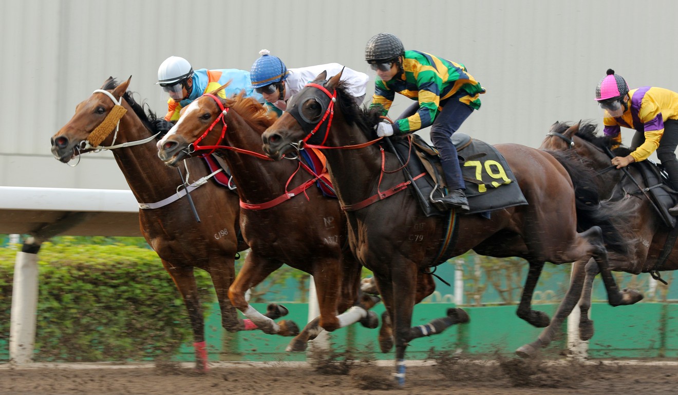 Grant van Niekerk trials Furore on the Sha Tin all-weather track this season.