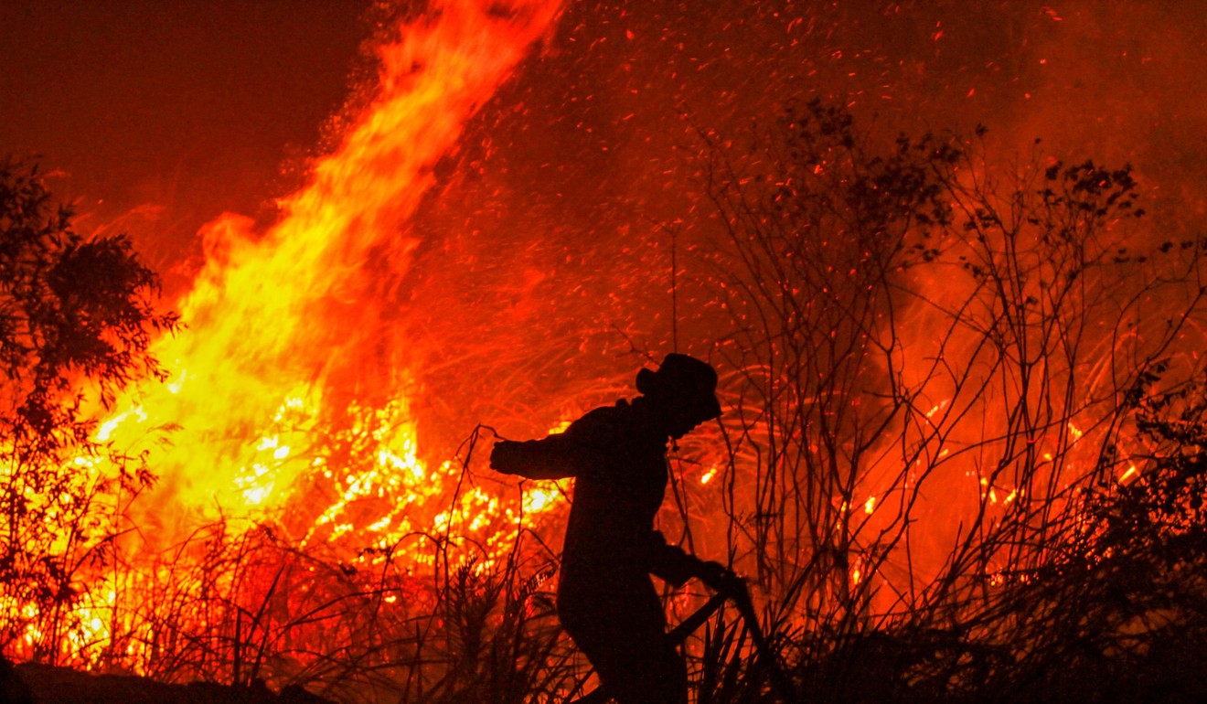 A hotter, drier world makes forest fires more likely. Photo: AFP
