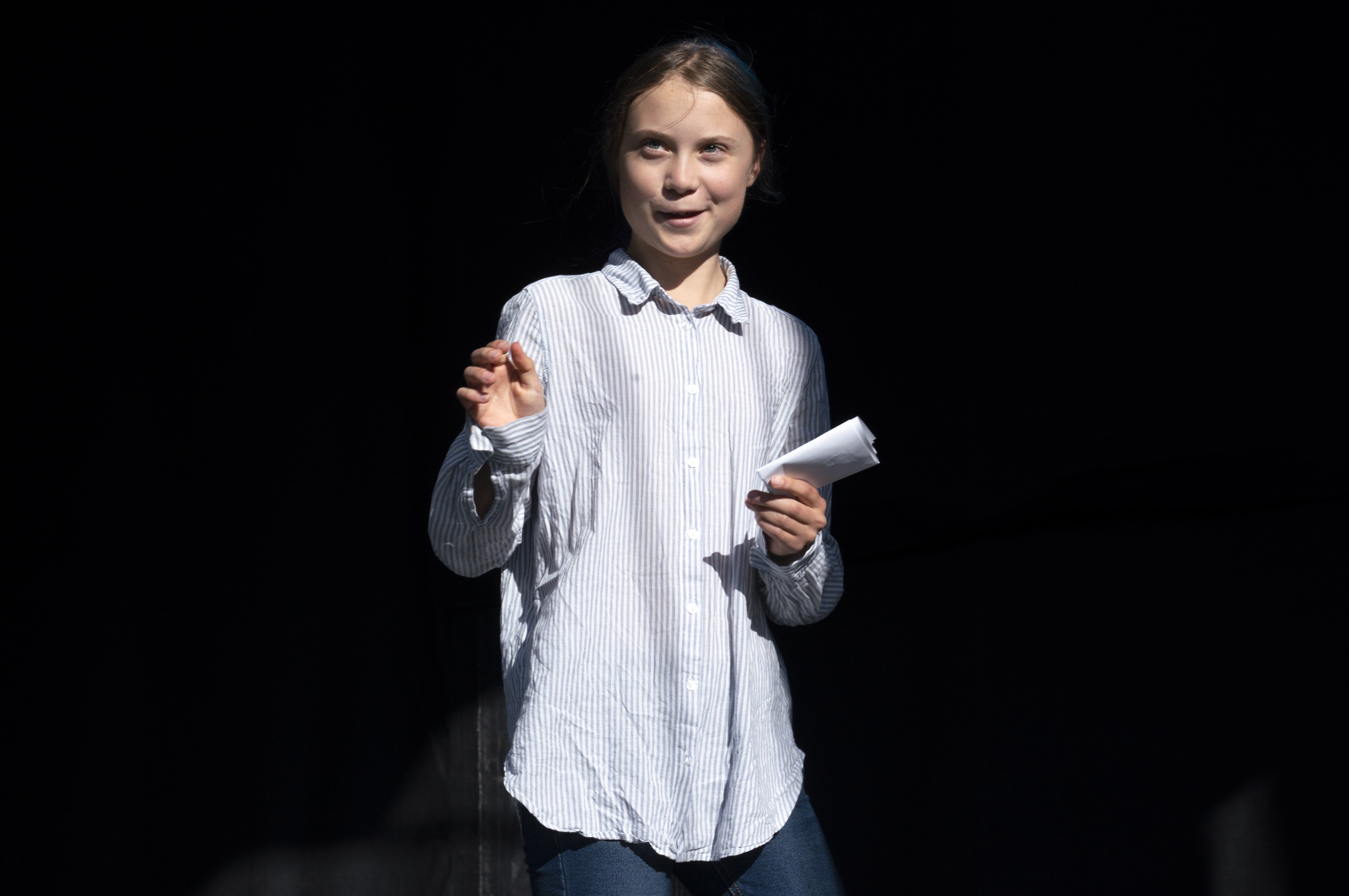 Dear M. Bernard Arnault, Leave Greta Thunberg Alone – ScaleYOU