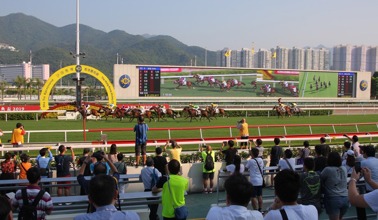 Beauty Generation crosses the line to win the Celebration Cup.