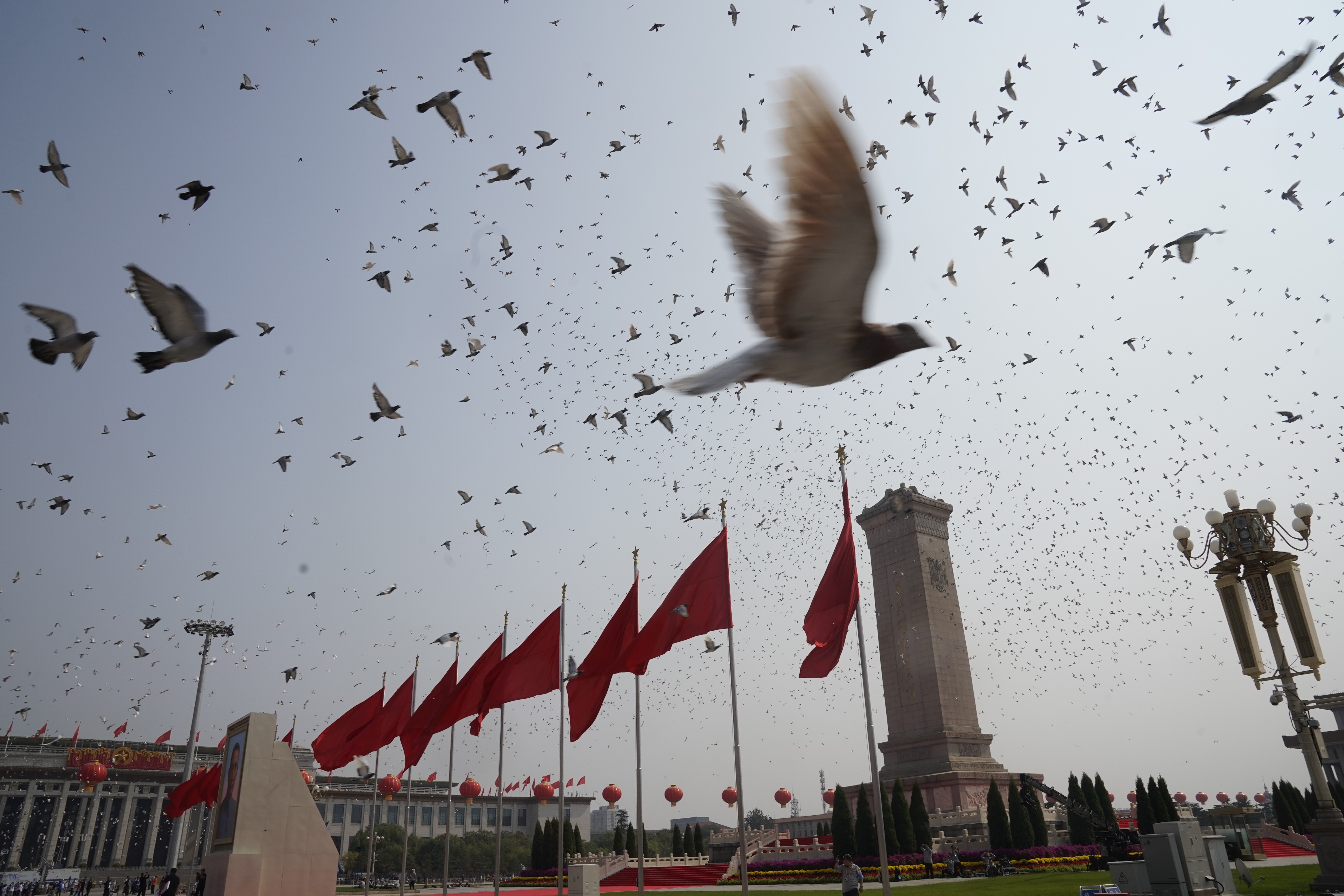 Pigeons fly over Tiananmen Square in Beijing during the celebrations for the 70th anniversary of the People’s Republic on Tuesday. Photo: Xinhua