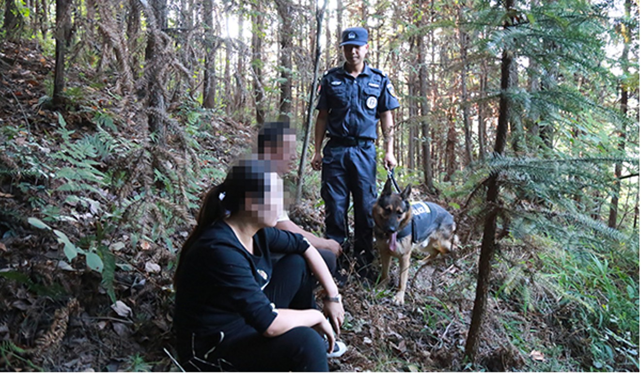 Police dogs helped to track down some of the suspects. Photo: Handout