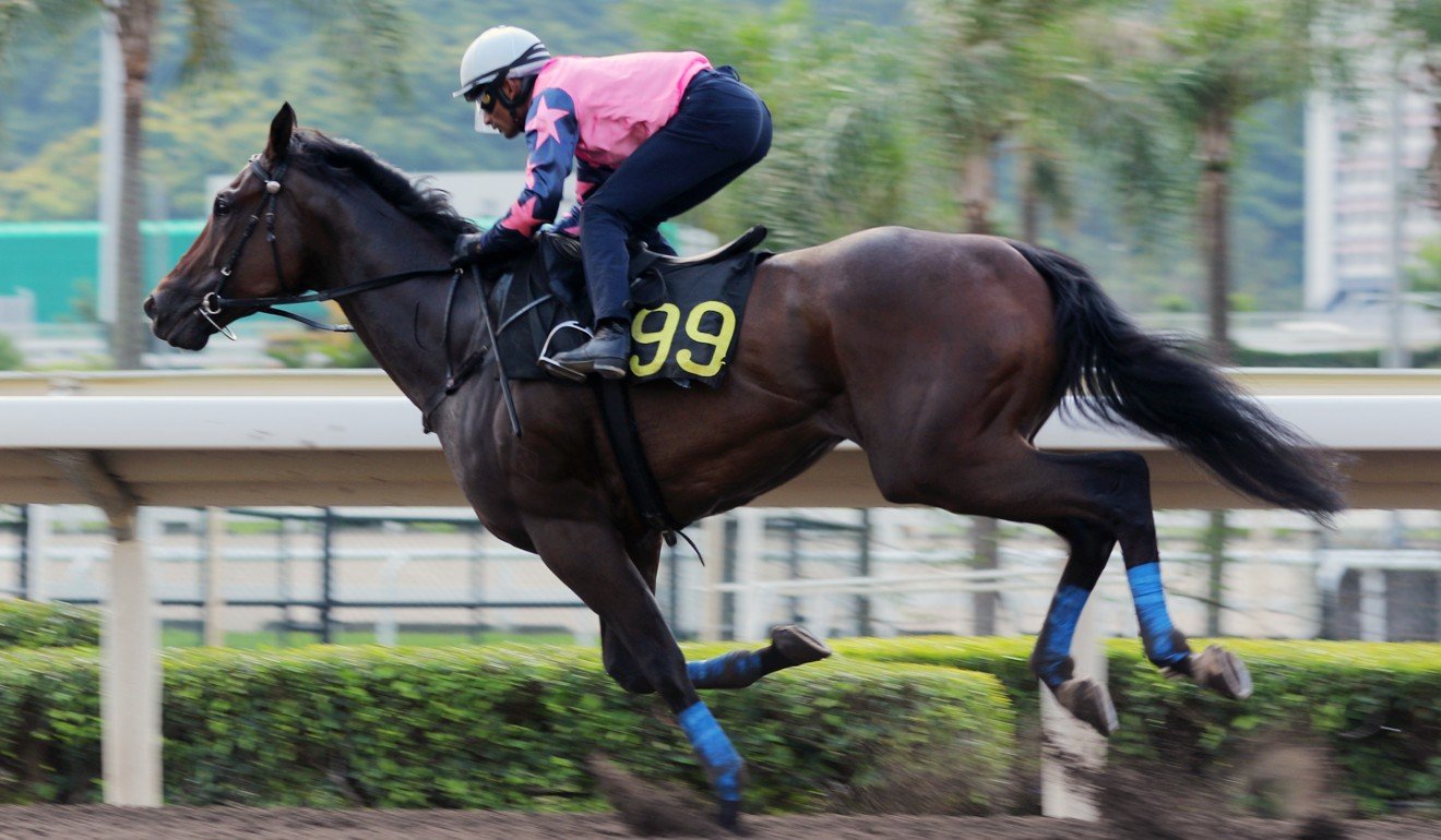 Chicken Dance trials at Sha Tin under
