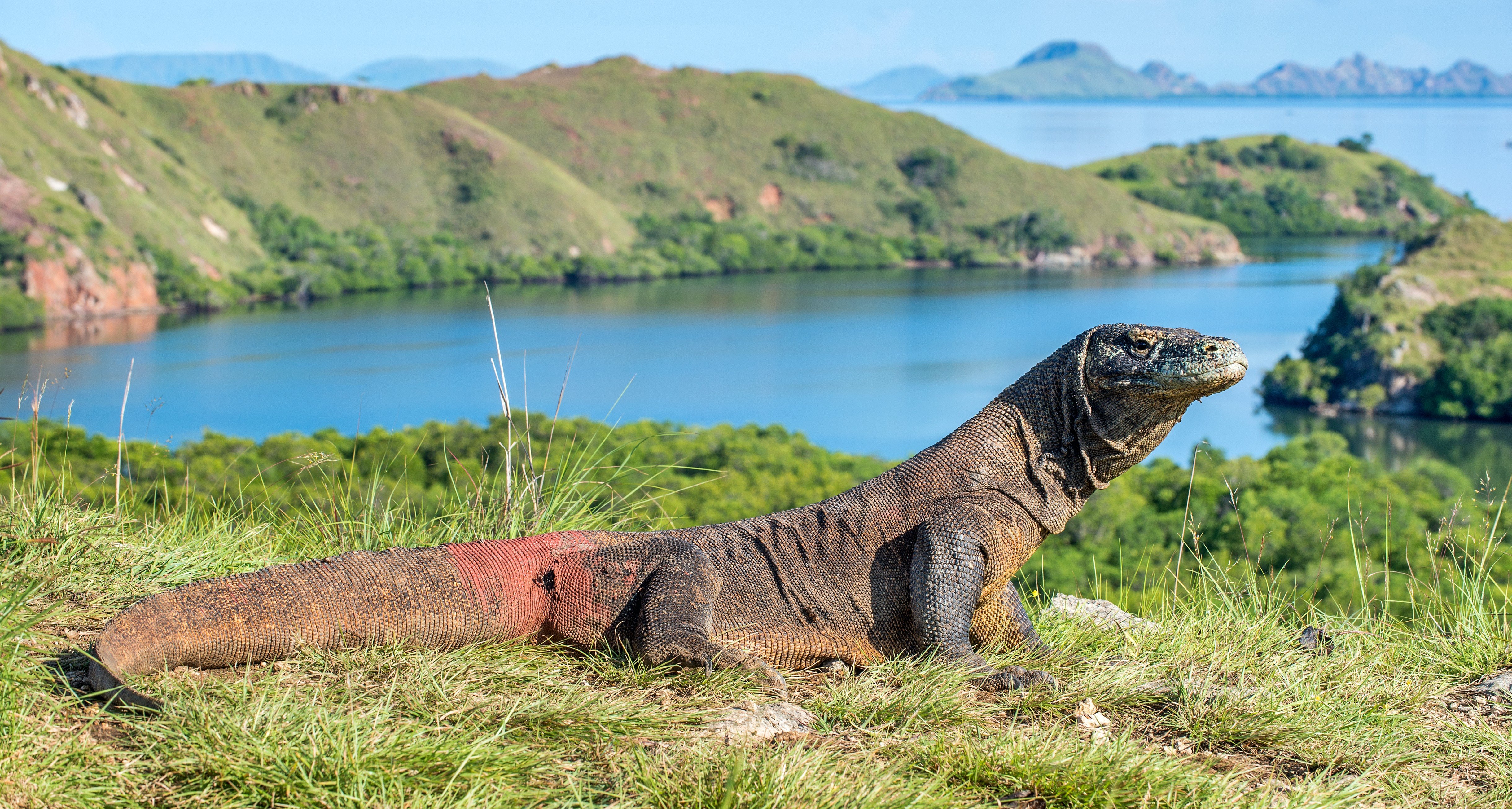 País donde está el parque nacional de komodo