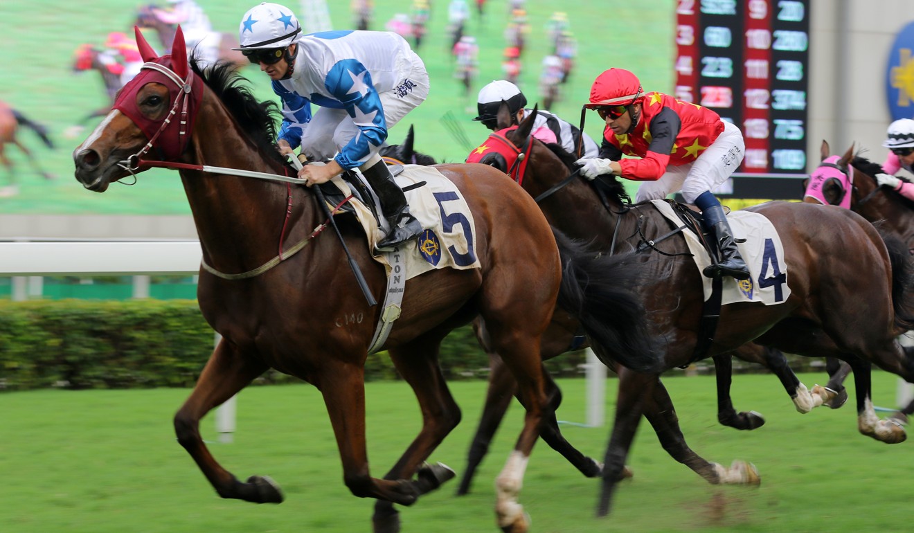 Douglas Whyte’s ‘sentimental’ bond with the last horse he rode to grow ...