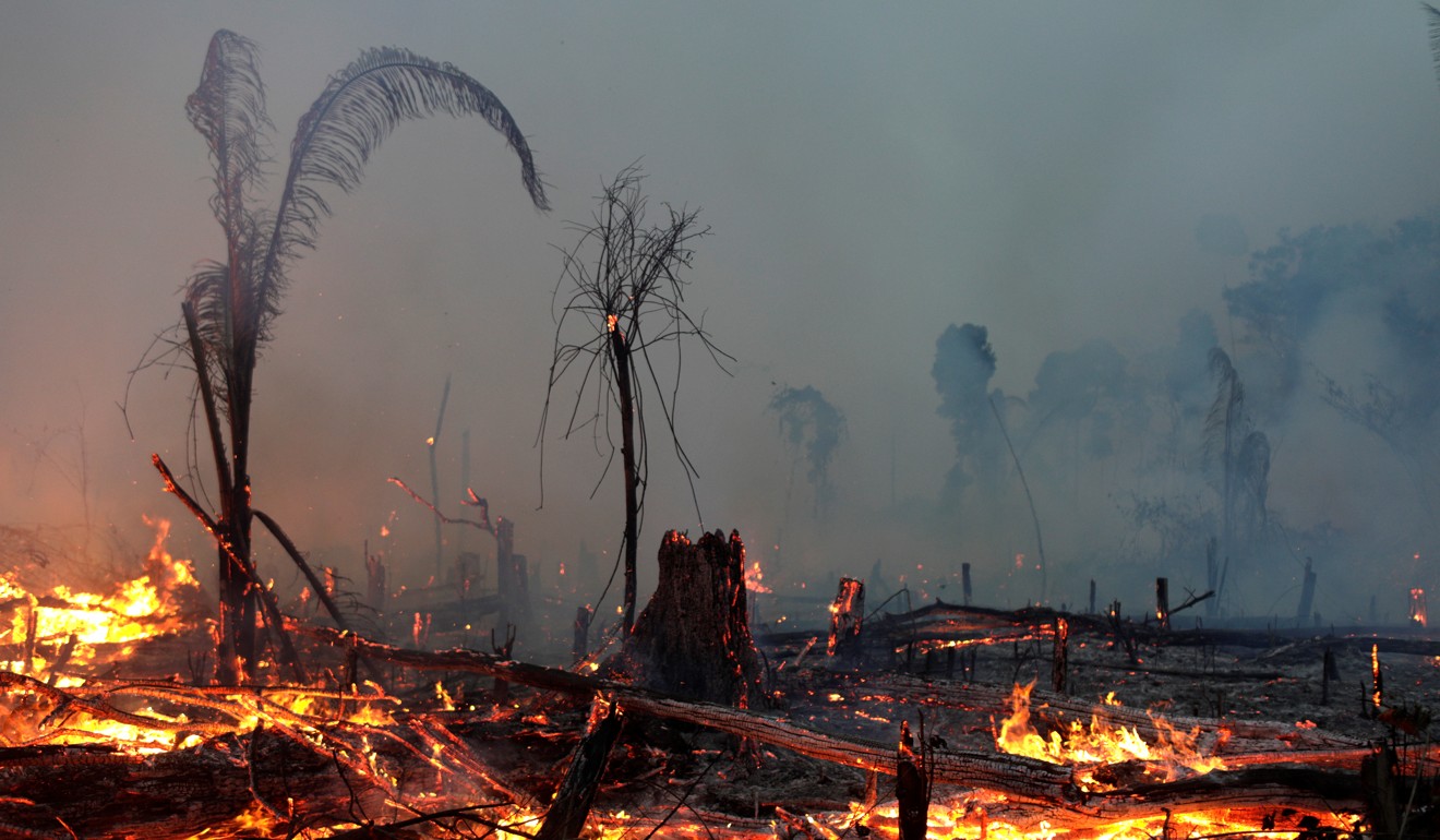 A fire burns a tract of Amazon jungle. Photo: Reuters