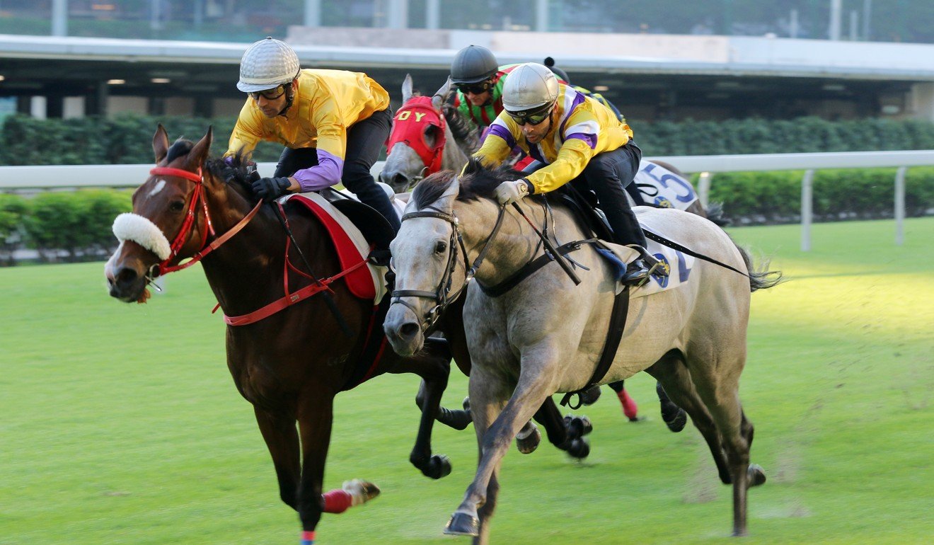 Playa del Puente (inside) wins a barrier trial at Happy Valley last month.