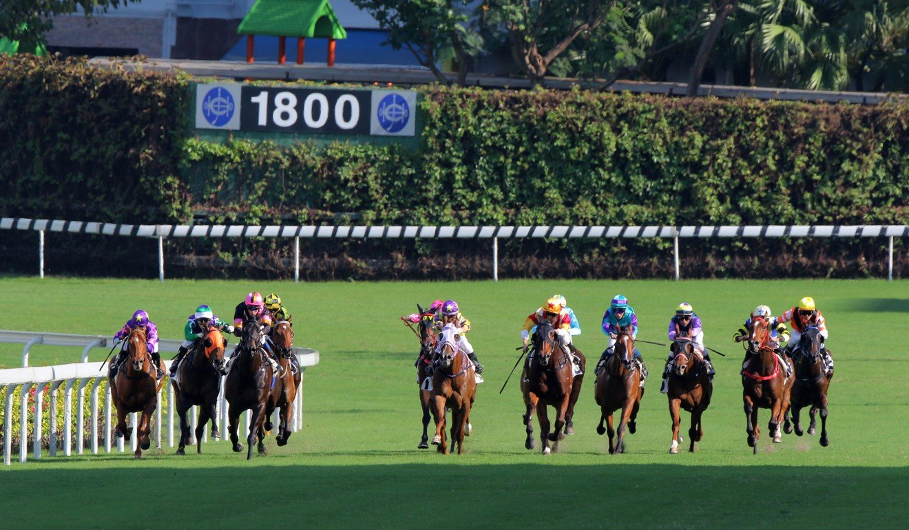 Horses race down the straight at last year’s day meeting at Happy Valley.