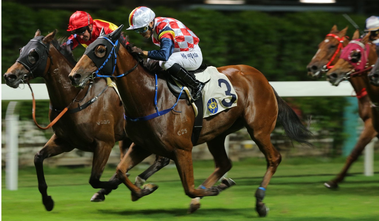 Keith Yeung drives Hardly Swears to victory.