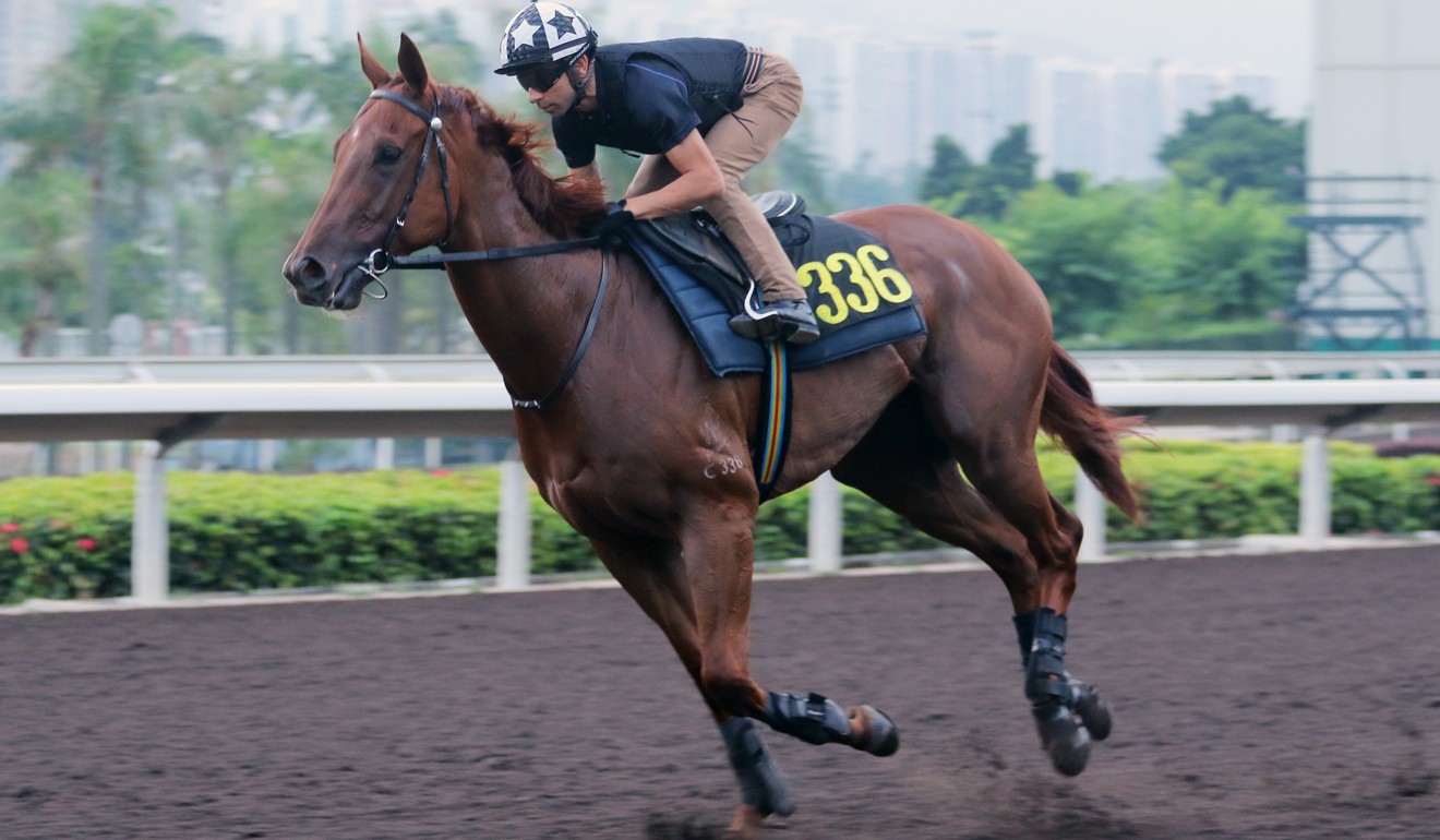 Joao Moreira rides Aethero in a gallop at Sha Tin on Thursday.