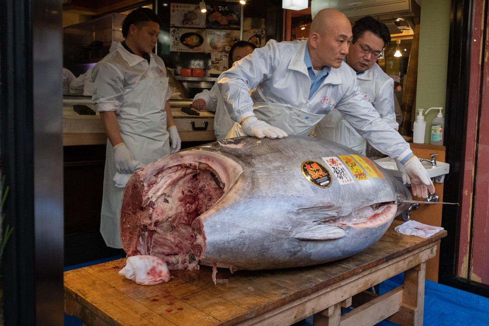 Japan's sushi king pays record price for bluefin tuna, Wildlife News