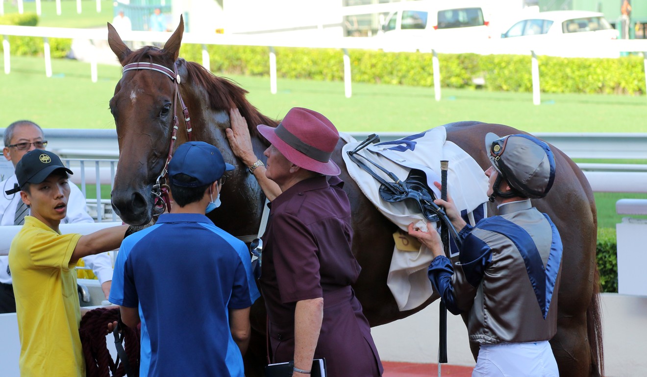 Trainer John Moore gives Aethero a pat after one of his wins last season.