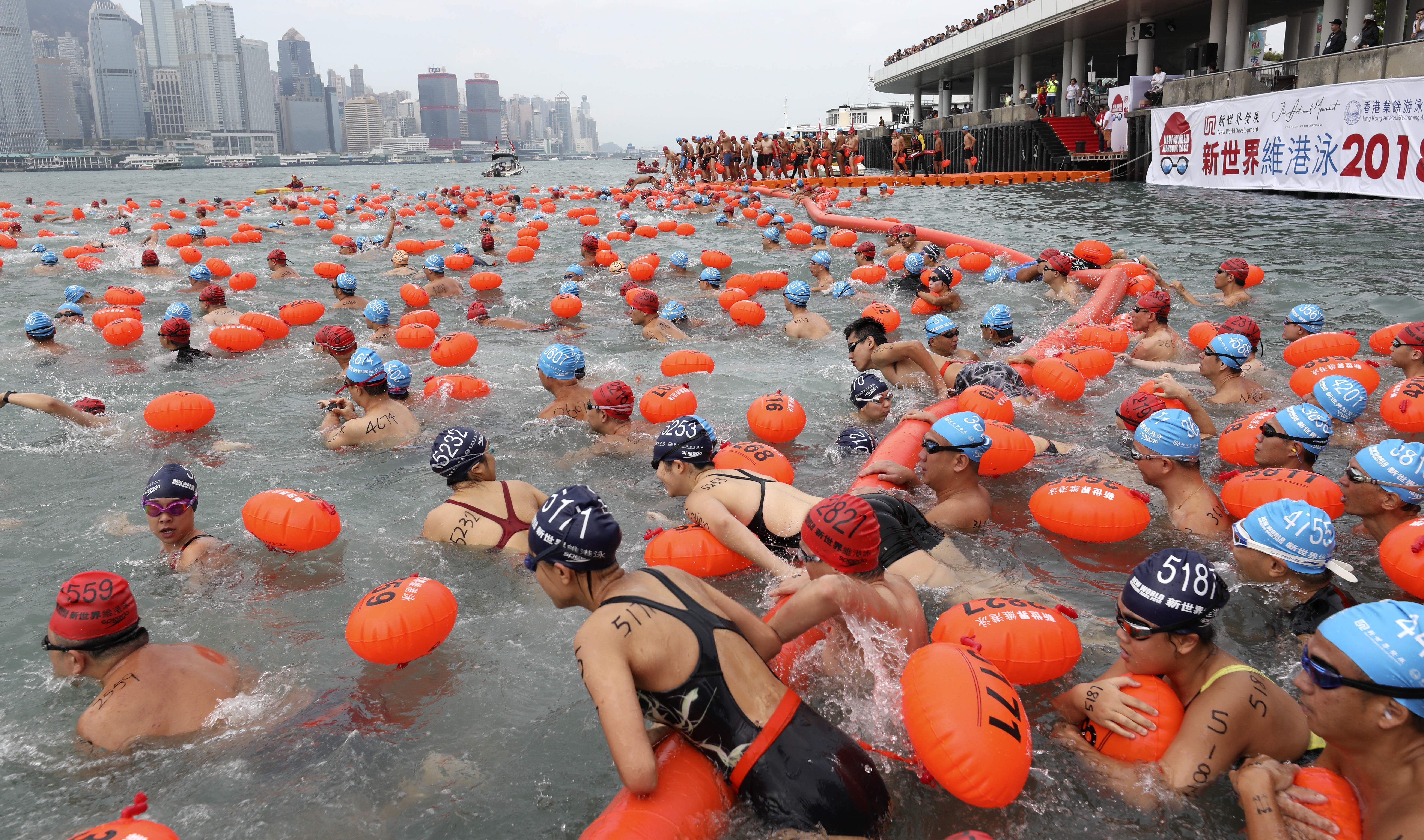 Swimmers from all categories take to Victoria Harbour from Tsim Sha Tsui Public Pier to Wan Chai Golden Bauhinia Square Public Pier during the New World Harbour Race 2018. Photo: Robert Ng