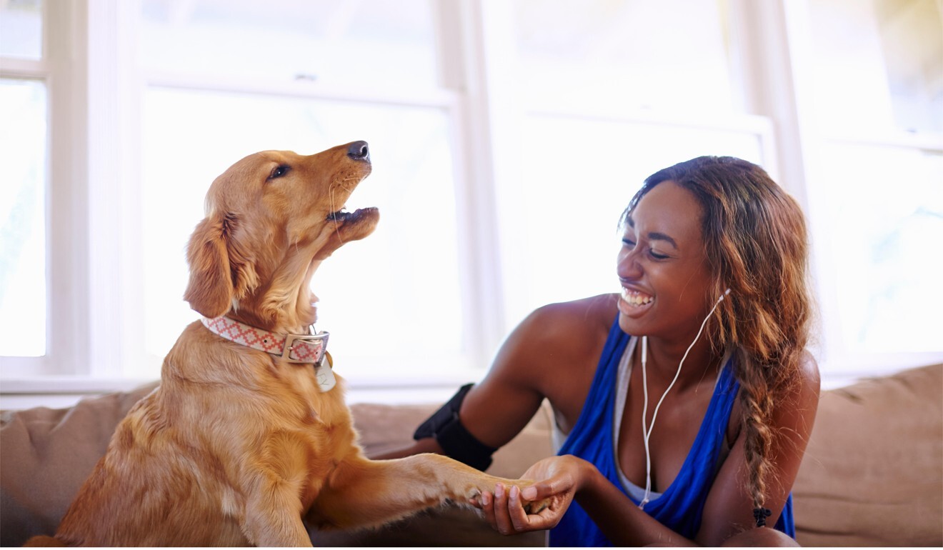 Pet owners tend to be younger, wealthier, better educated and more likely to be married, all of which improve cardiovascular outcomes. Photo: Alamy