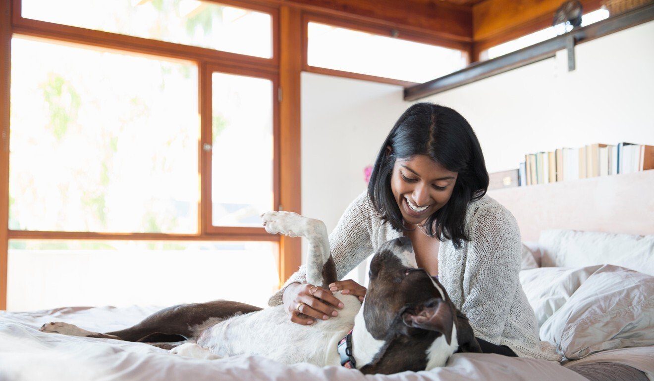Dog ownership is linked to a lower risk of death, possibly from a reduction in cardiovascular mortality. Photo: Alamy