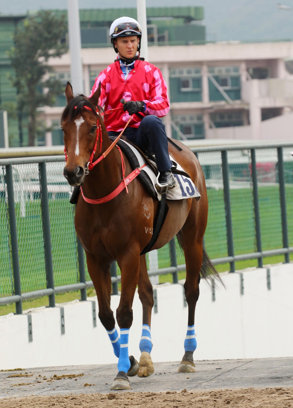 Zac Purton rides Mr Stunning in a barrier trial.