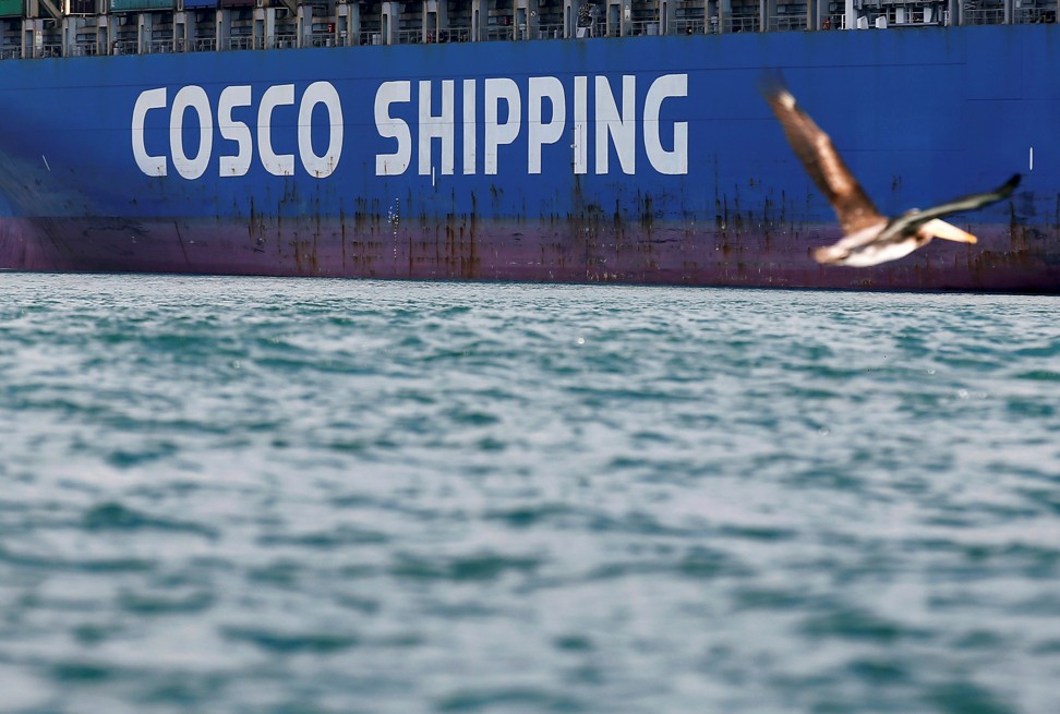A bird flies by a China Ocean Shipping Company (COSCO) container ship at the San Antonio port in Chile. Photo: Reuters