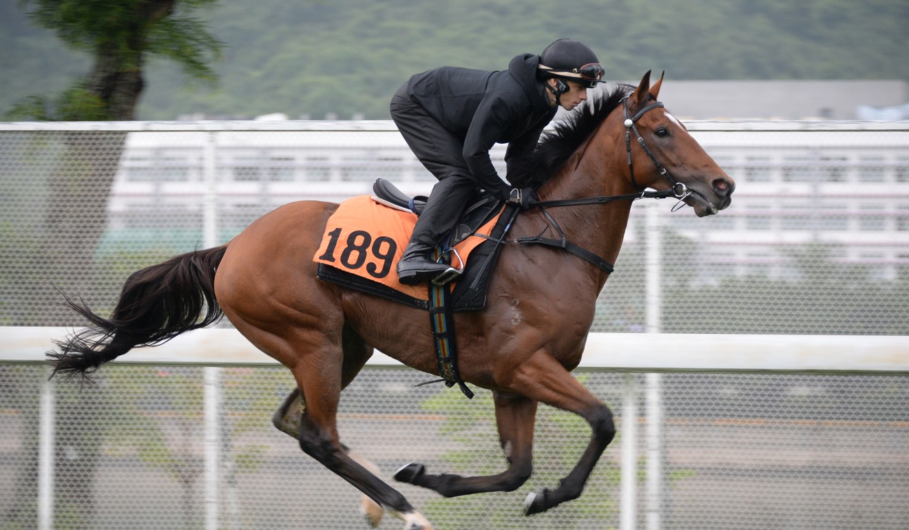 Jockey Lyle Hewitson gallops Electric Lightning at Sha Tin on Monday.