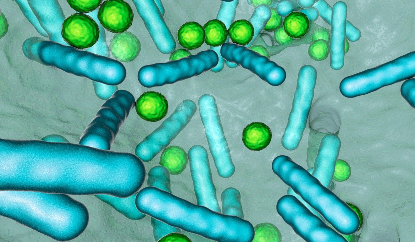 A second research project on the Chinese Space Station will study growth variations of bacteria and their production of biofilms. Photo: Alamy