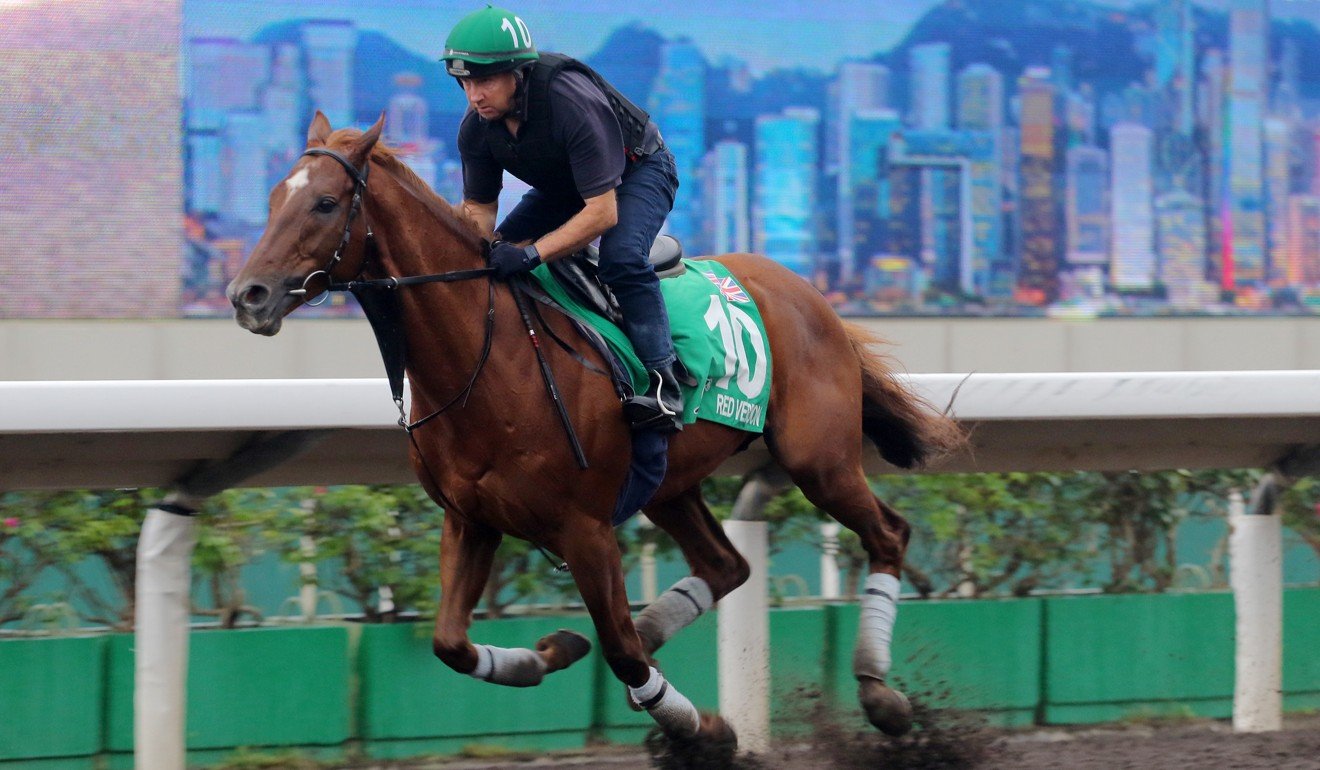 Red Verdon gallops ahead of last year’s Hong Kong Vase.