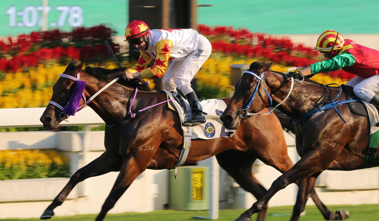 Mr Croissant holds on to win at Sha Tin this season.