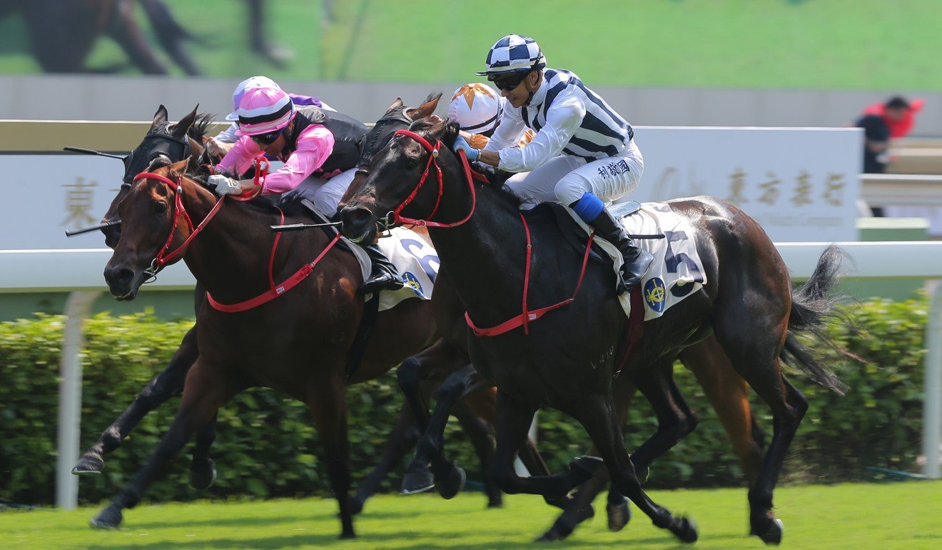 Seasons Bloom noses out Full Of Beauty to win at Sha Tin.