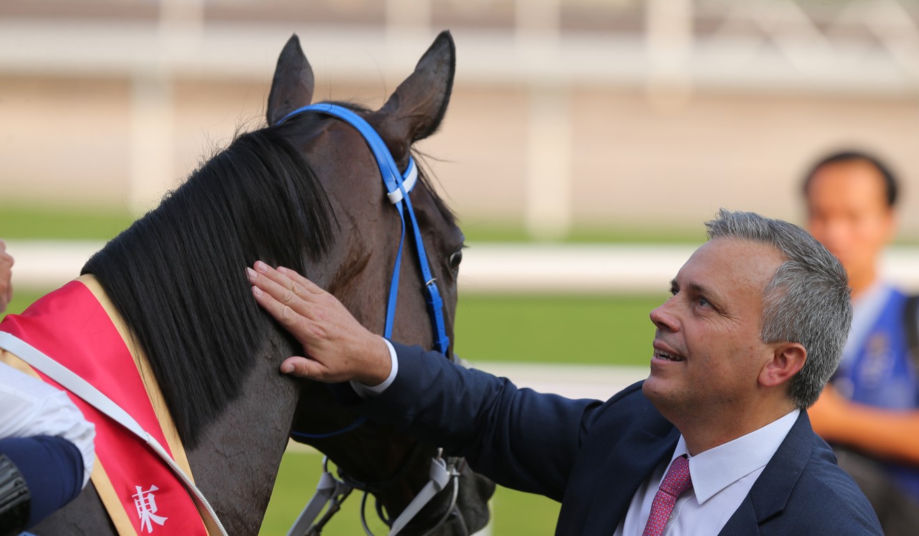 Caspar Fownes pats down Rise High following his win at Sha Tin.