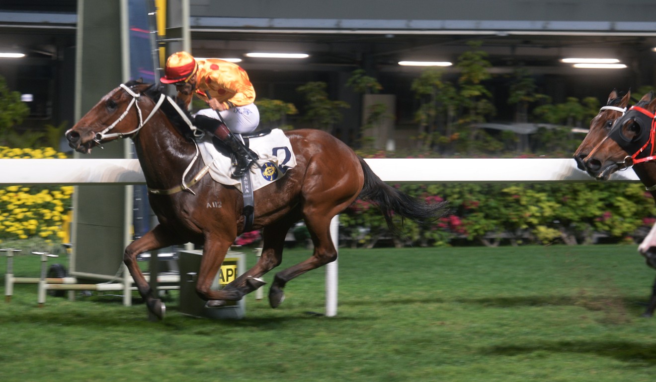 Gold Mount wins a race at Happy Valley.