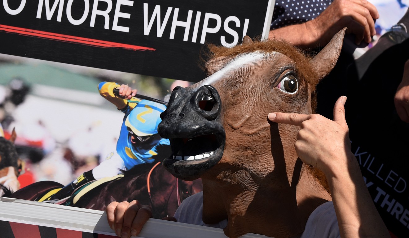 A protester wears a horse mask outside a racecourse in Sydney. Photo: EPA