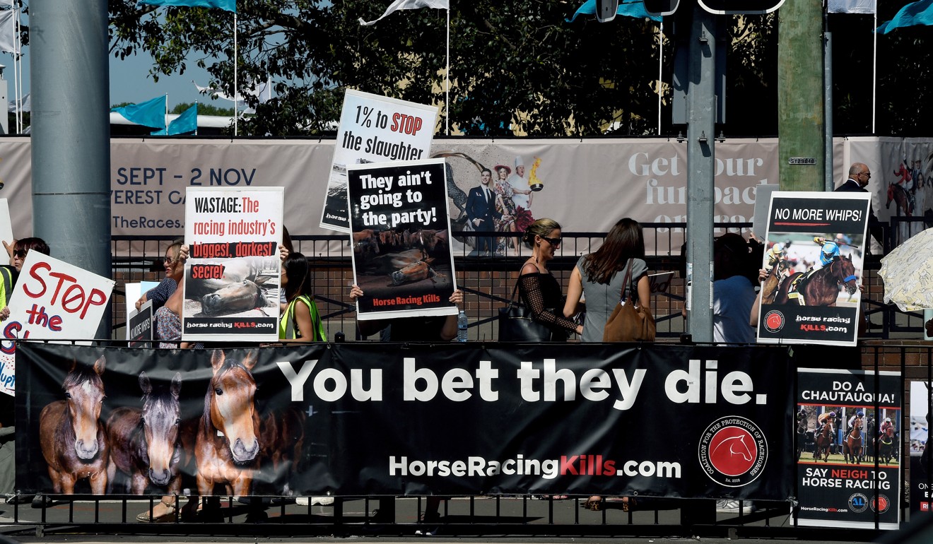Protesters hold signs condemning the treatment of race horses in Sydney. Photo: EPA