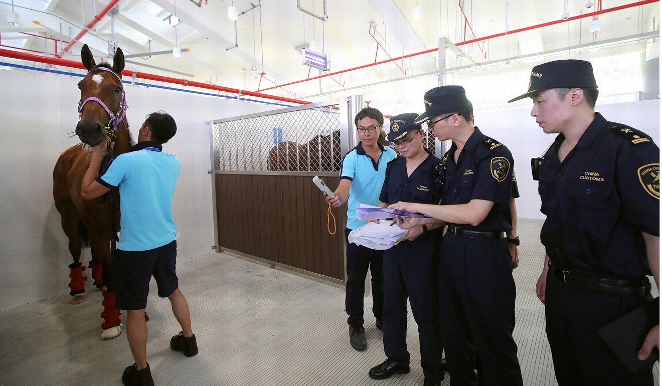 Chinese customs officials check the paperwork of a horse arriving at Conghua.