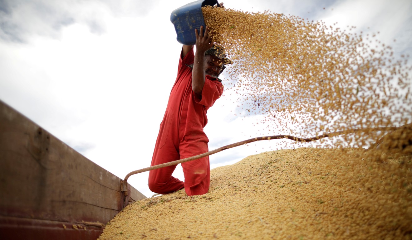 Brazil is the world’s largest soybean producer and will want to protect future sales to China. Photo: Reuters