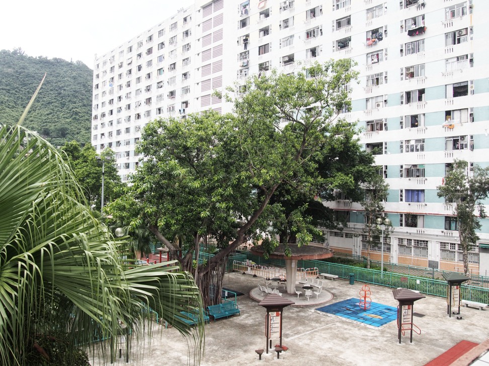 Lek Yuen Estate, in Sha Tin. Photo: Manami Okazaki