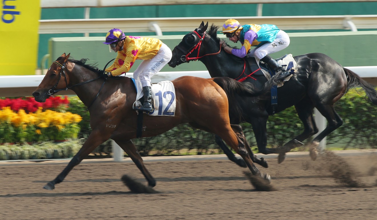 Star Superior hits the line to win at Sha Tin on Sunday.