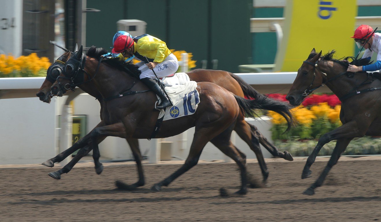 Chater Thunder runs over the top of his rivals at Sha Tin on Sunday.