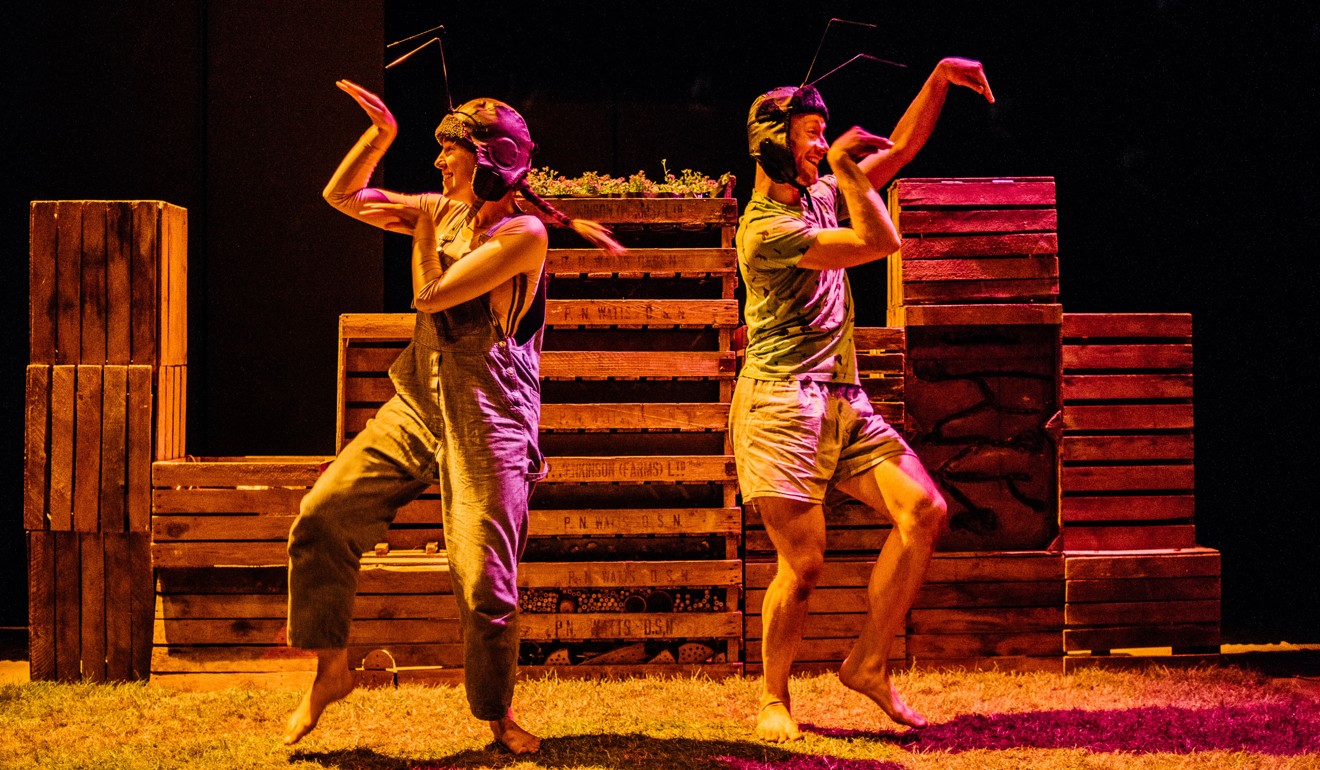Grass, performed on freshly cut turf by Britain’s Second Hand Dance company, weaves together dance, puppetry and projection to inspire children to look closely at the world around them. Photo: Brian Hartley