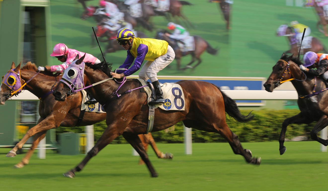 Invincible Missile salutes at Sha Tin in his first-up run this season.