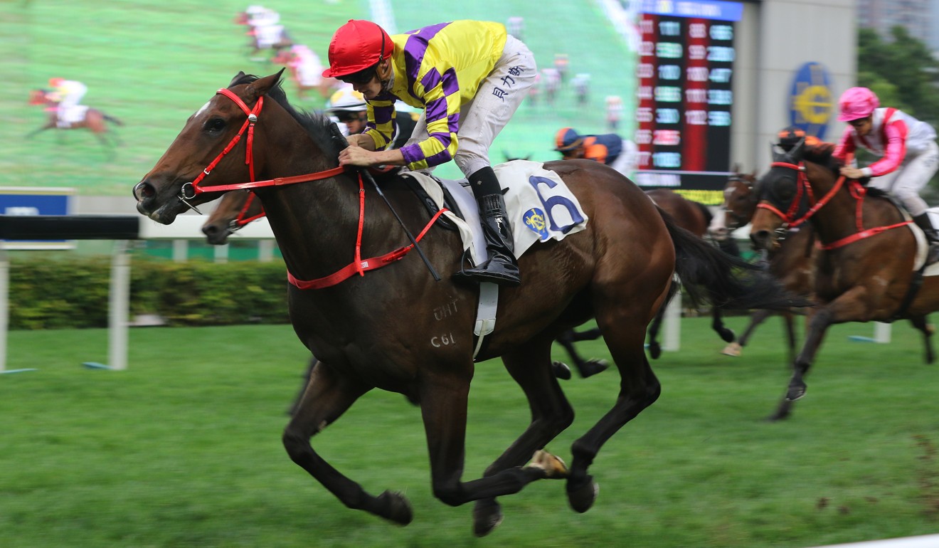 Champion's Way coasts to victory at Sha Tin in March.