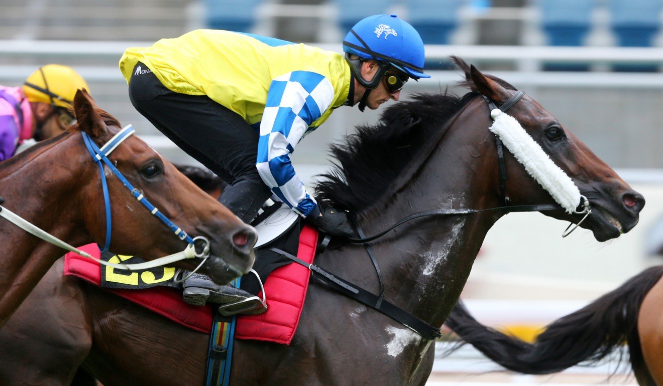 Zac Purton partners Chefano in a recent trial.