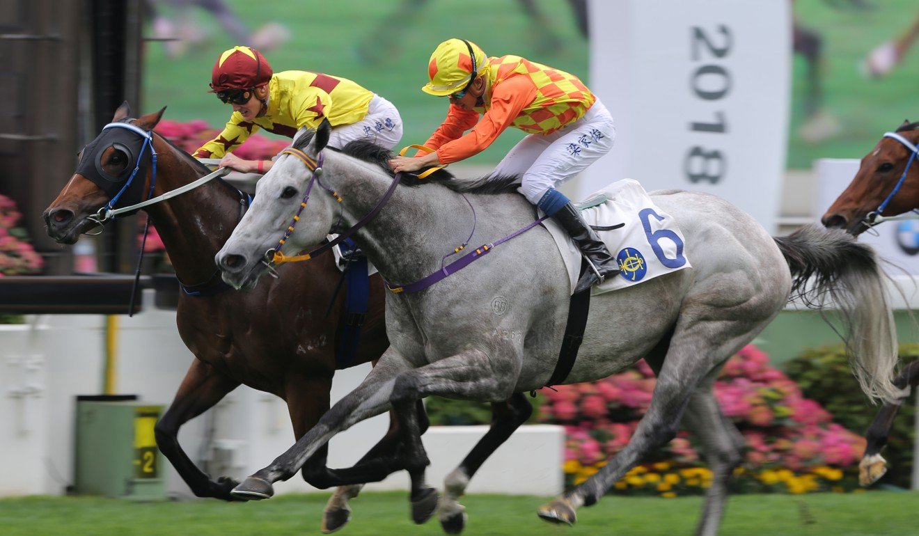 Southern Legend (inside) edges out Pingwu Spark for his last win in Hong Kong.