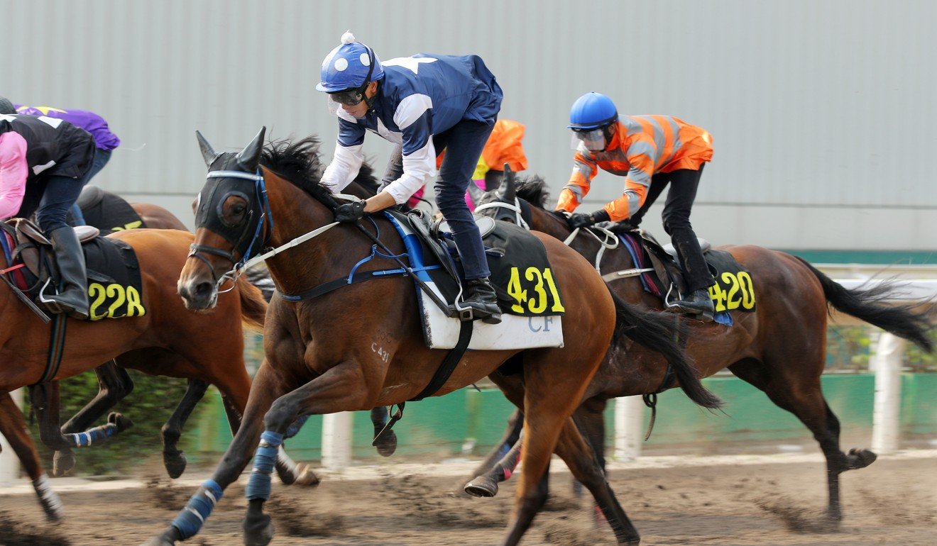 The Hulk trials on the all-weather surface at Sha Tin.