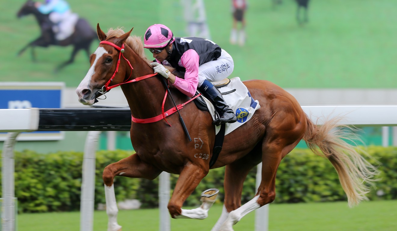 Beauty Applause wins at Sha Tin on Sunday.